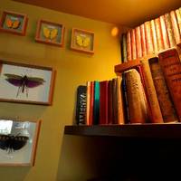 Biblioteka, Pub