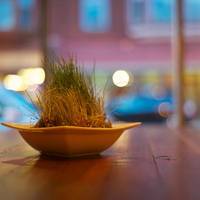 Social Urban Bar and Restaurant