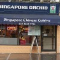 Singapore Orchid