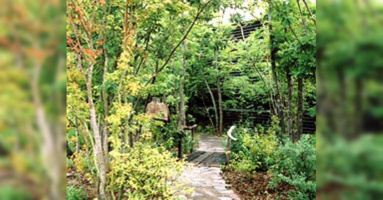 Снимок Dining Kamome, Миядзаки
