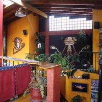 Cafe Andino