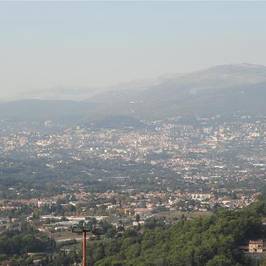 L'amandier de Mougins