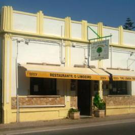 The Lemon Tree Almancil Algarve