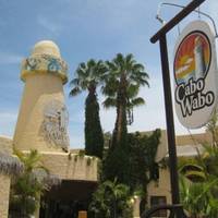 Cabo Wabo