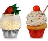 The Cupcake Store