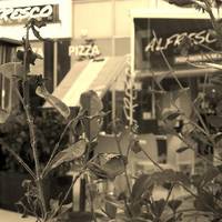 Alfresco on Elston