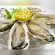 Снимок Gumbo & Oyster Bar, Тюо