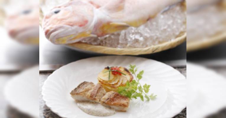 Изображение Teppanyaki Colza, Тюо