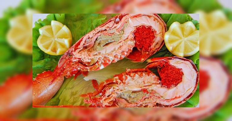 Снимок Meste Ze, Кашкайш