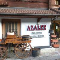 azalee