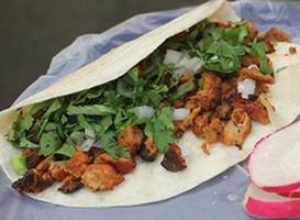 Tortas Korita / Tacos del Rin
