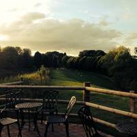 Bodenham Arboretum