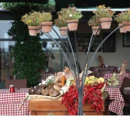 Ristorante Osvaldo Bolgheri