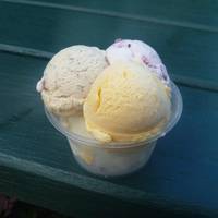 The Daintree Icecream Company