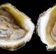 Снимок Pearlz Oyster Bar, Колумбия