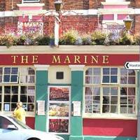 The Marine