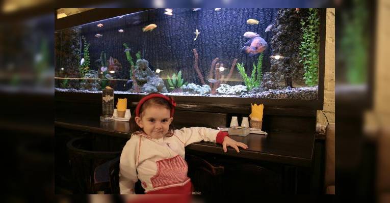 Аквариум во Viet Cafe
