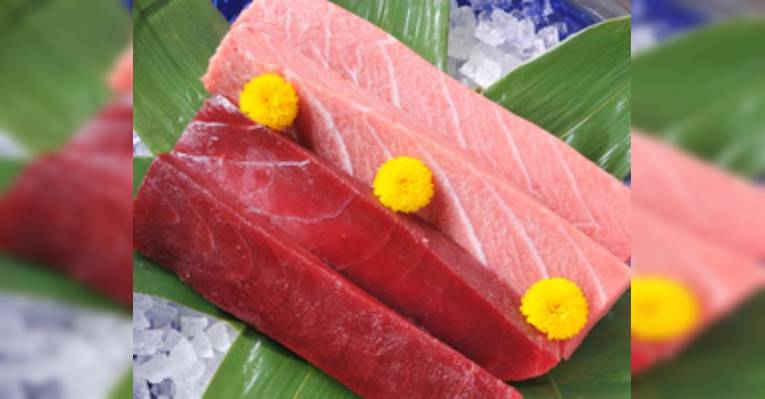 Снимок Nihonkai Maguro, Синагава