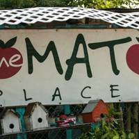The Tomato Place