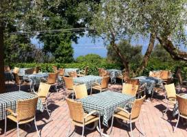 Trattoria Agli Olivi
