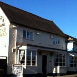 the swan