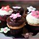Снимок Sugar Chef Cupcakes, Уэст-Палм-Бич