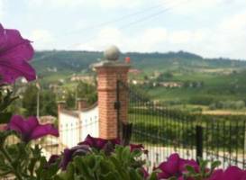 Vineria del Barolo