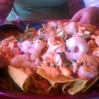 Nacho Hippo