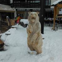 Grizzly Bar