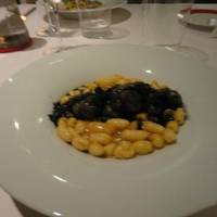 L'Anice Stellato