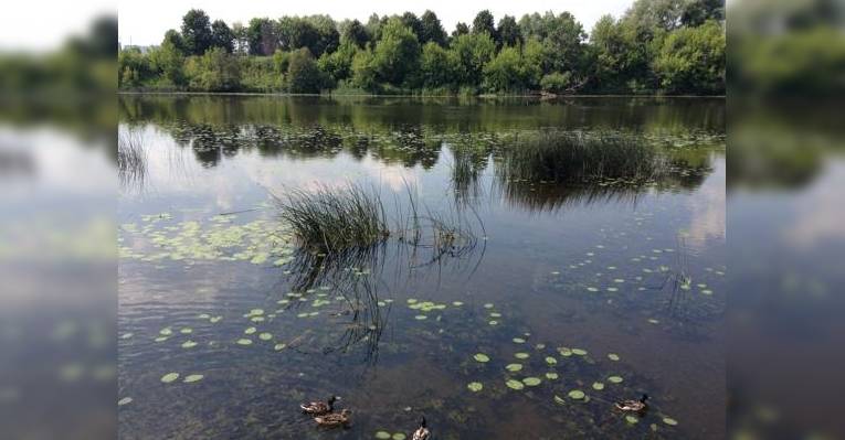 вид с летней террасы ресторана