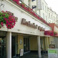 The Mechanical Elephant - J D Wetherspoon