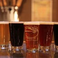 Mountain State Brewing Company