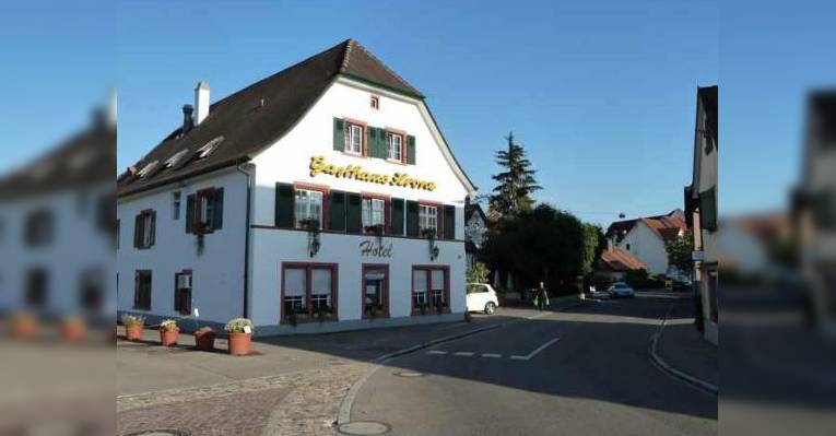 Снимок Gasthaus zur Krone, Вайль-ам-Райн