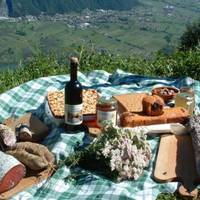 Agriturismo Giacomino