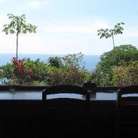 The Gecko Restaurant