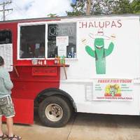 Chalupa's
