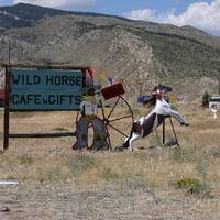 Wild Horse Cafe