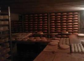 Agriturismo La Tchavana di Metsan