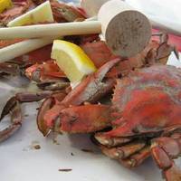 Hooked Up Seafood