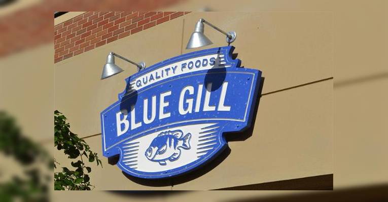 Снимок Blue Gill, Гейнсвилл