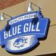 Снимок Blue Gill, Гейнсвилл