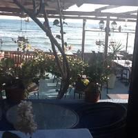 Mer Bleue Beach Restaurant
