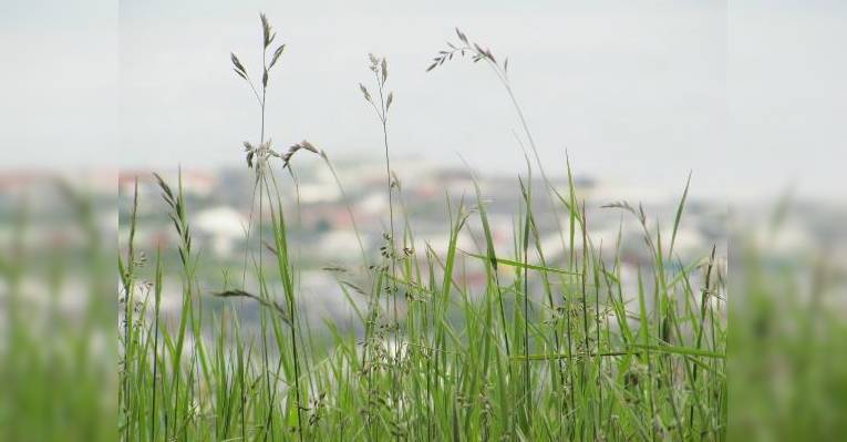 ресторан