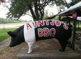 Aunt Jo's BBQ