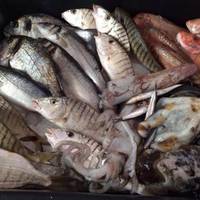 Lo Scoglio