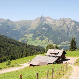 Breitenebenalm
