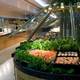 Снимок Coolangatta Tweed Heads Golf Club Dining, Tweed Heads