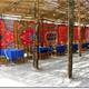Снимок El Gazira Gardens Hotel & Restaurant, Луксор