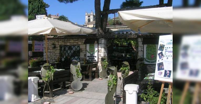 Снимок IL Giardino Delle Rane, Гарда